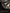 GOAT Everscore NXT LVL - Professionelle Dartscheibe