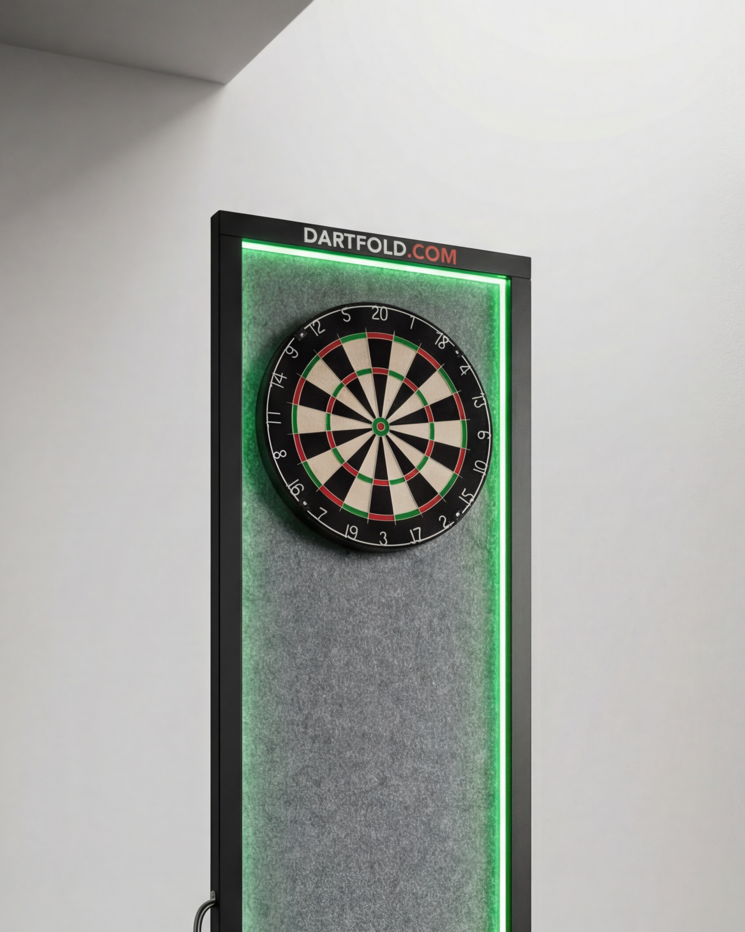 Professioneel dartbord